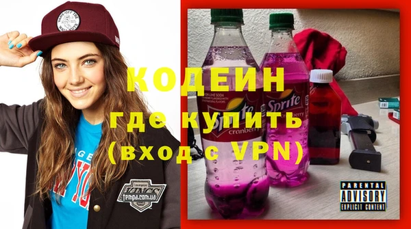 эйфоретик Няндома